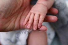 Load image into Gallery viewer, Sold Out - CUSTOM "Freddy" by Sandy Faber Reborn Baby