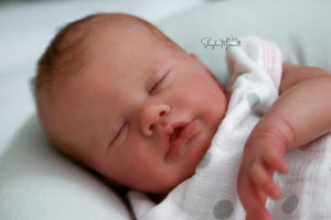 Sold Out - CUSTOM "Primrose" by Laura Lee Eagles Reborn Baby