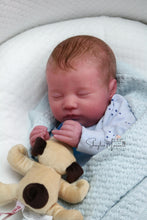 Load image into Gallery viewer, Sold Out - Realborn &quot;Laila&quot; Reborn Baby