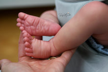 Load image into Gallery viewer, Sold Out - CUSTOM "Sebastian" by Olga Auer Reborn Baby