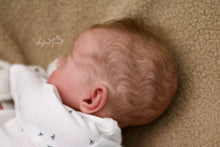 Load image into Gallery viewer, Sold Out - CUSTOM "Freddy" by Sandy Faber Reborn Baby