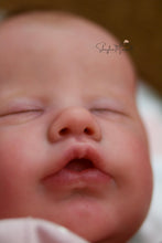 Load image into Gallery viewer, Sold Out - CUSTOM &quot;Primrose&quot; by Laura Lee Eagles Reborn Baby