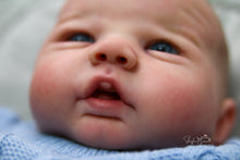 Load image into Gallery viewer, Sold Out - CUSTOM "Freddy" by Sandy Faber Reborn Baby