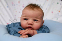Load image into Gallery viewer, Sold Out - CUSTOM "Freddy" by Sandy Faber Reborn Baby
