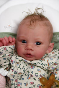 Sold Out - CUSTOM "Zippy" by Andrea Arcello Reborn Baby