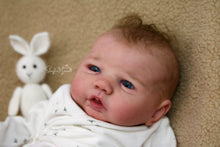 Load image into Gallery viewer, Sold Out - CUSTOM "Freddy" by Sandy Faber Reborn Baby