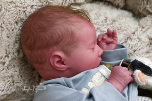 Sold Out - Realborn "Laila" Reborn Baby