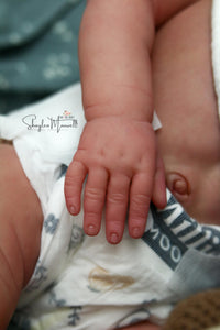 READY TO SHIP "Fiory" by Elisa Marx Reborn Baby Boy