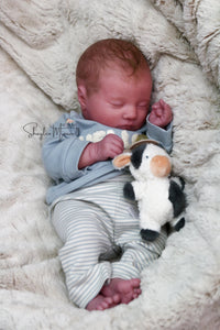 Sold Out - Realborn "Laila" Reborn Baby