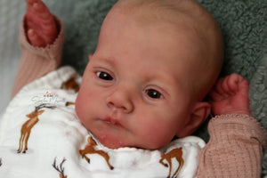 READY TO SHIP "Lily" by Joanna Kazmierczak Reborn Baby