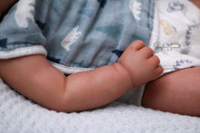 Load image into Gallery viewer, Sold Out - CUSTOM "Freddy" by Sandy Faber Reborn Baby
