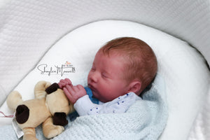 Sold Out - Realborn "Laila" Reborn Baby