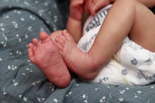 Load image into Gallery viewer, SOLD OUT - "Otto" by Joanna Kazmierczak Reborn Baby