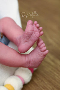 Sold Out - Realborn "Laila" Reborn Baby