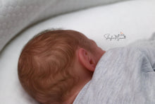 Load image into Gallery viewer, Sold Out - CUSTOM "Henley" by Dawn Mcleod Reborn Baby