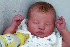 Sold Out - Realborn "Laila" Reborn Baby