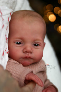 READY TO SHIP "Lily" by Joanna Kazmierczak Reborn Baby