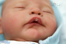 Load image into Gallery viewer, READY TO SHIP  &quot;Leo&quot; by Cassie Brace Reborn Baby