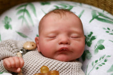 Load image into Gallery viewer, READY TO SHIP  &quot;Leo&quot; by Cassie Brace Reborn Baby