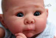 Load image into Gallery viewer, READY TO SHIP &quot;Lizzie&quot; by Adrie Stoete Reborn Baby