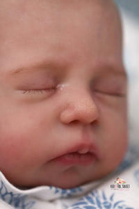 Sold Out - CUSTOM Cuddle "Peyton" Sieben Reborn Baby Doll