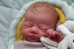 Sold Out - CUSTOM "Evin" by Elisa Marx Reborn Baby