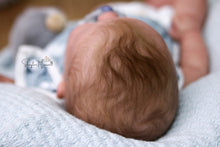 Load image into Gallery viewer, DEPOSIT - CUSTOM "Freddy" by Sandy Faber Reborn Baby