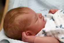 Load image into Gallery viewer, SOLD OUT - "Otto" by Joanna Kazmierczak Reborn Baby