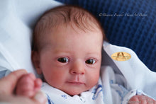 Load image into Gallery viewer, DEPOSIT - CUSTOM "Felicia" by Gudrun Legler Reborn Baby