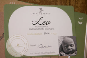 READY TO SHIP  "Leo" by Cassie Brace Reborn Baby