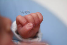 Load image into Gallery viewer, READY TO SHIP Prototype "Frankie" by Mayra Garza