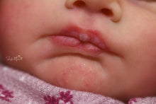 Load image into Gallery viewer, RESERVE NOW - &quot;Lovan&quot; by Cassie Brace Reborn Baby
