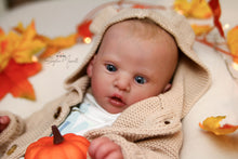 Load image into Gallery viewer, READY TO SHIP &quot;Finley&quot; by Heike Kolpin Reborn Baby