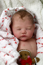 Load image into Gallery viewer, ALMOST COMPLETE "Haven" by Izzy Zhao Reborn Baby