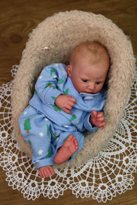 READY TO SHIP "Finley" by Heike Kolpin Reborn Baby