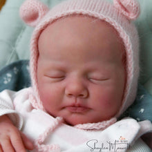 Load image into Gallery viewer, ALMOST COMPLETE &quot;Fiori&quot; by Elisa Marx Reborn Baby