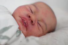 Load image into Gallery viewer, DEPOSIT - CUSTOM &quot;Leandre&quot; by Doris Moyers Hornbogen Reborn Baby