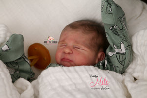 PROTOTYPE Milo by Lisa Stone Reborn Boy Doll - Reborn, Sweet