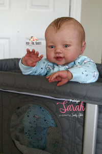 PROTOTYPE Sarah by Sandrien Faber Reborn Baby Girl Doll - Reborn, Sweet Shaylen Maxwell iiora 2016-2020