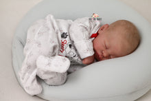 Load image into Gallery viewer, SOLD OUT Rare Quinlyn Eagles Reborn Baby Boy Doll - Reborn, Sweet Shaylen Maxwell iiora 2016-2021