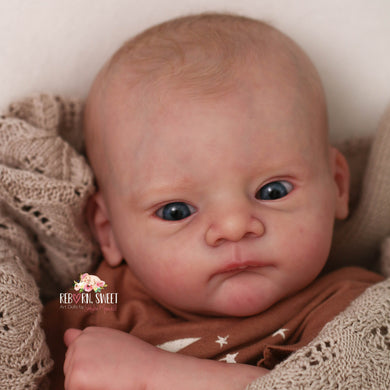 Sold Out MAX Legler Reborn Baby Boy Doll - Reborn, Sweet Shaylen Maxwell iiora 2016-2021