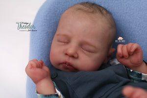 PROTOTYPE Theodor by Lenka Hucinova Reborn Baby Boy Doll - Reborn, Sweet Shaylen Maxwell iiora 2016-2021