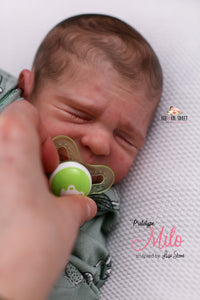 PROTOTYPE Milo by Lisa Stone Reborn Boy Doll - Reborn, Sweet