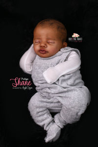 PROTOTYPE Shane by Angela Degner Reborn Cuddle Baby Boy Doll - Reborn, Sweet Shaylen Maxwell iiora 2016-2021