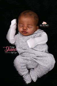 PROTOTYPE Shane by Angela Degner Reborn Cuddle Baby Boy Doll - Reborn, Sweet Shaylen Maxwell iiora 2016-2021