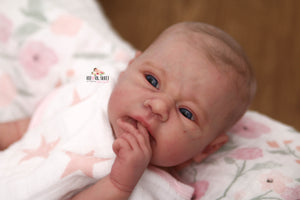 Sold Out MADISON Arcello Reborn Baby Girl Doll - Reborn, Sweet Shaylen Maxwell iiora 2016-2021