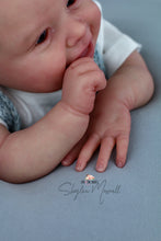 Load image into Gallery viewer, LAYAWAY Harper by Andrea Arcello Reborn Baby Boy - Reborn, Sweet Shaylen Maxwell
