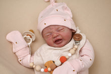 Load image into Gallery viewer, CUDDLE BABY Edwin by Elisa Marx Reborn Baby Girl OR Boy Doll - Reborn, Sweet Shaylen Maxwell iiora 2016-2019