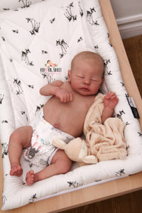 SOLD OUT Rare Quinlyn Eagles Reborn Baby Boy Doll - Reborn, Sweet Shaylen Maxwell iiora 2016-2021