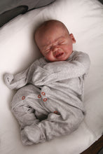 Load image into Gallery viewer, CUDDLE BABY Edwin by Elisa Marx Reborn Baby Girl OR Boy Doll - Reborn, Sweet Shaylen Maxwell iiora 2016-2019